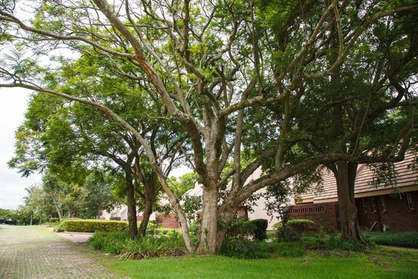 Badplaas, A Forever Resort: 4-Sleeper Chalet. 2 bedrooms (1 double bed & 2 single beds)