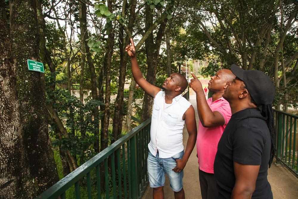 Accommodation at Badplaas, A Forever Resort