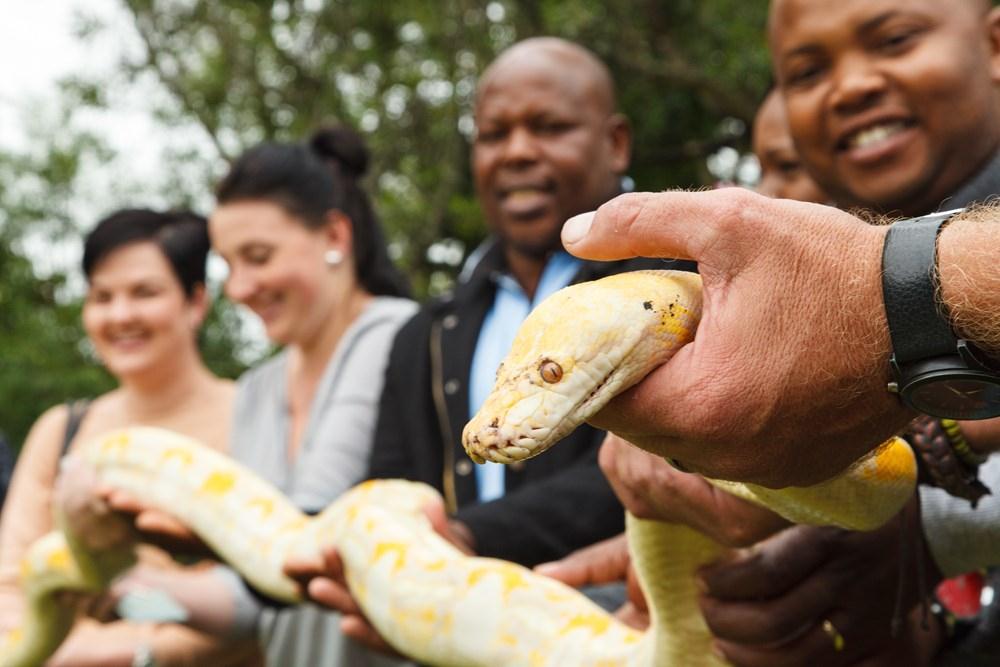 Conferencing at Badplaas, A Forever Resort